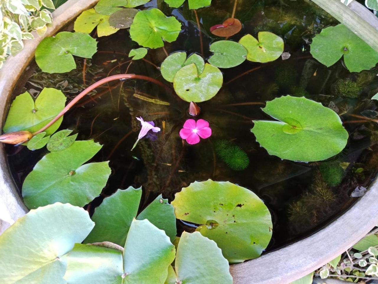 A Lanna Boutique House Hotel Chiang Mai Buitenkant foto